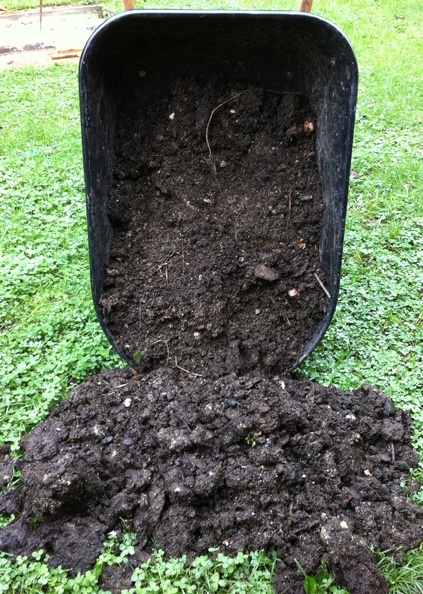 Black Gold - Compost.jpg